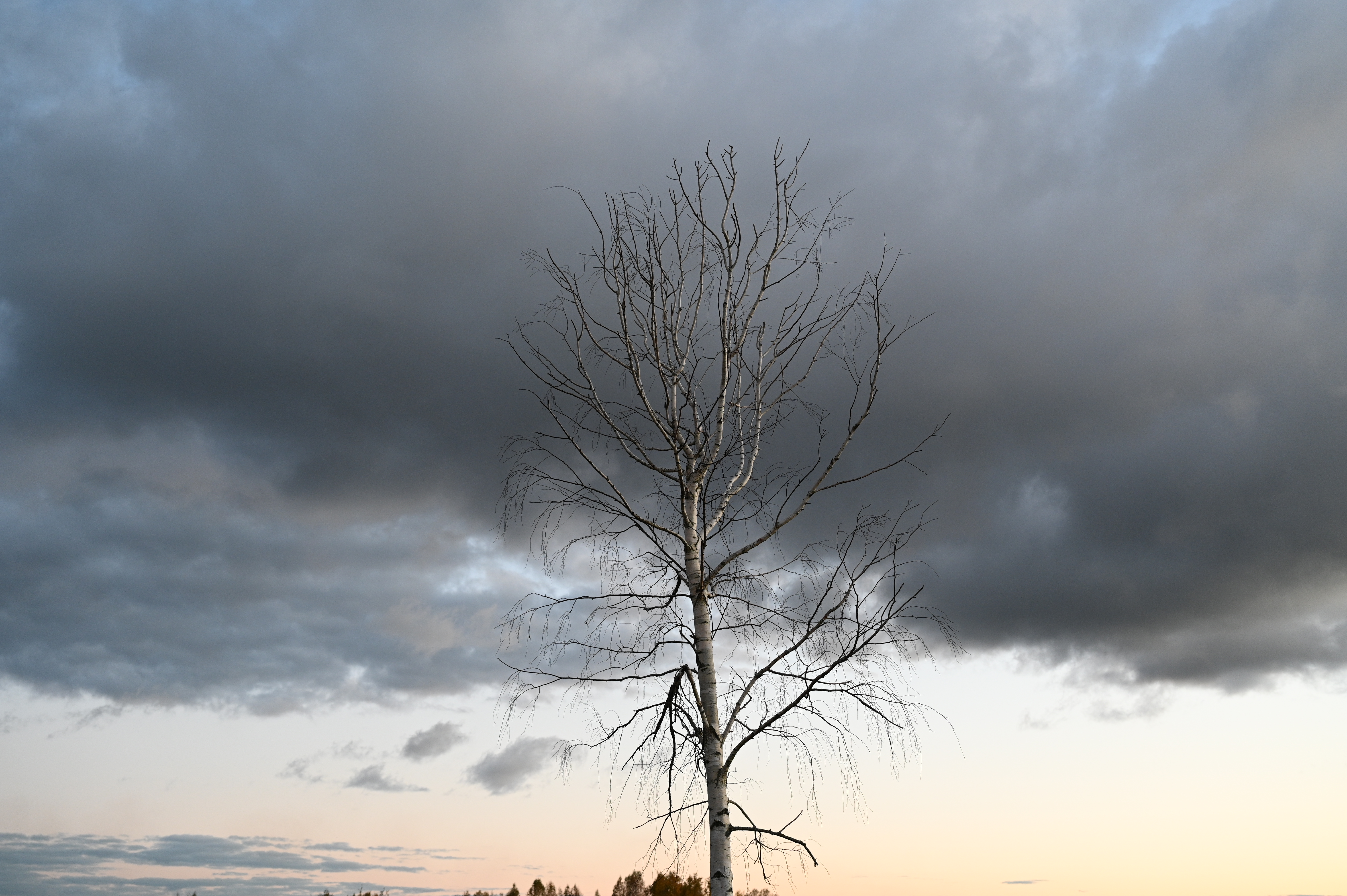 2025/10/18 - walk/DSC_0575.JPG